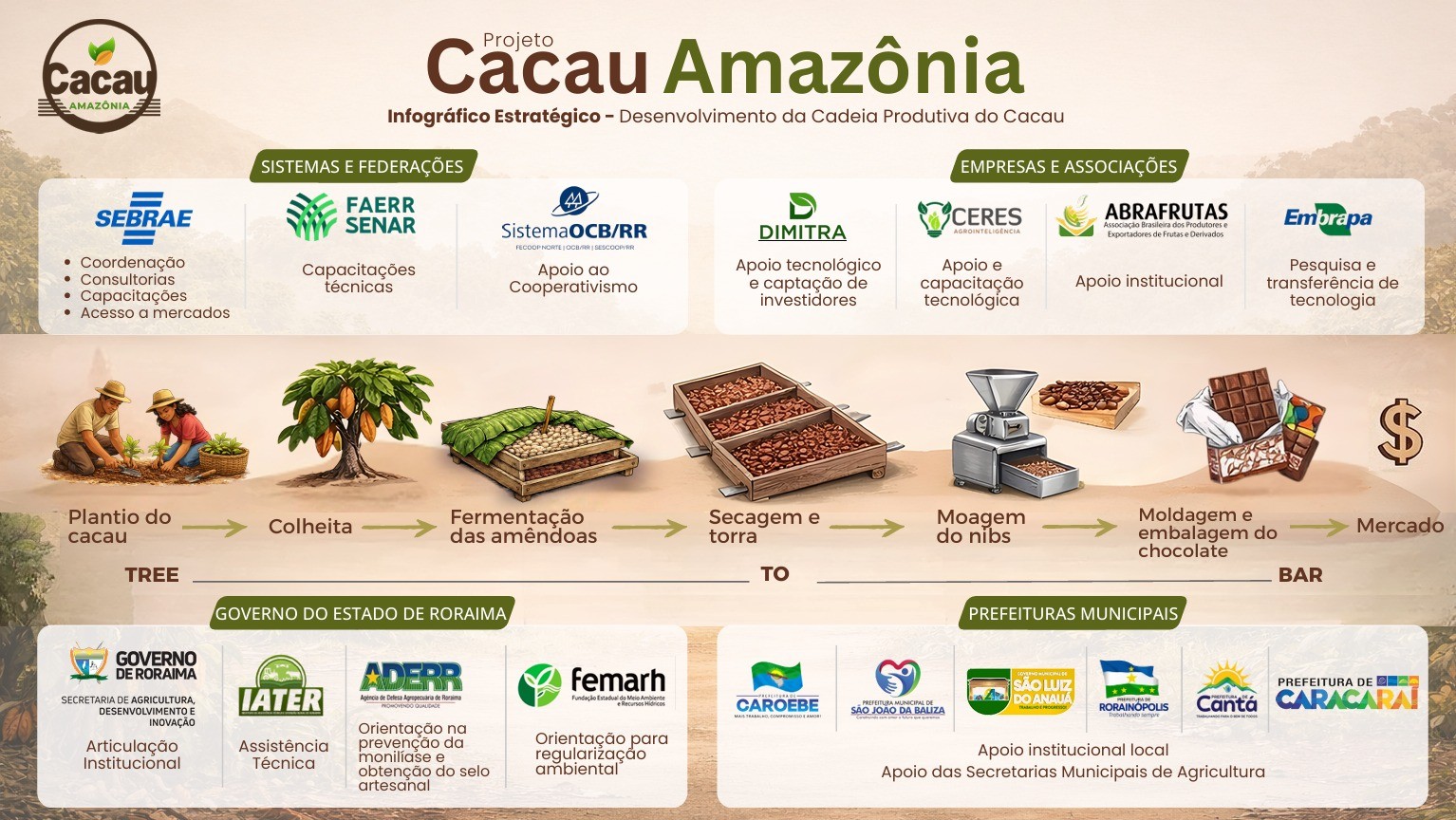 Infográfico estratégico do Projeto Cacau Amazônia: etapas da cadeia produtiva do cacau (tree to bar) e instituições parceiras